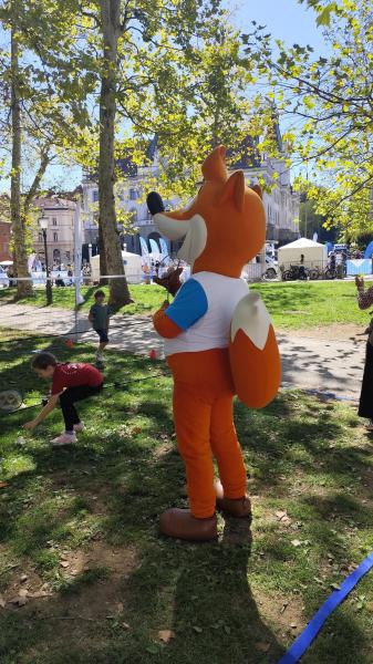 Olimpijski festival 2026